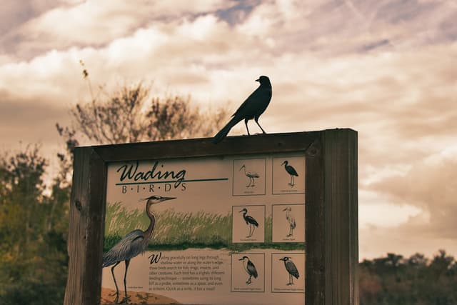 Best Birdwatching Parks