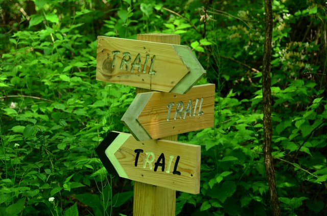 Guide To Accessible Trails