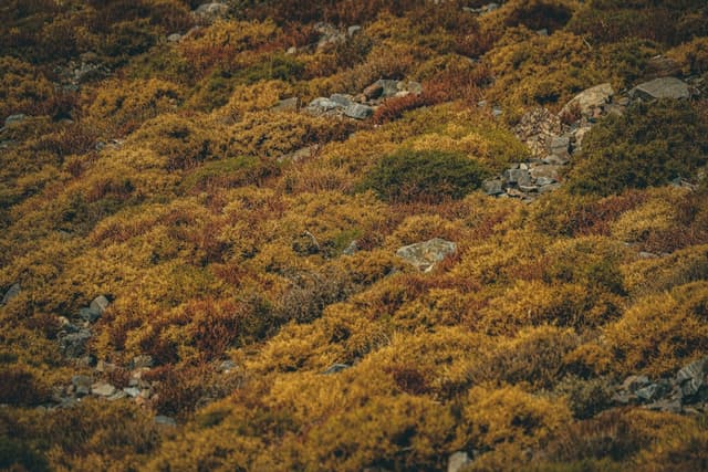 National Park Crossword