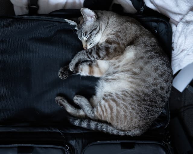 Packing For High Altitude
