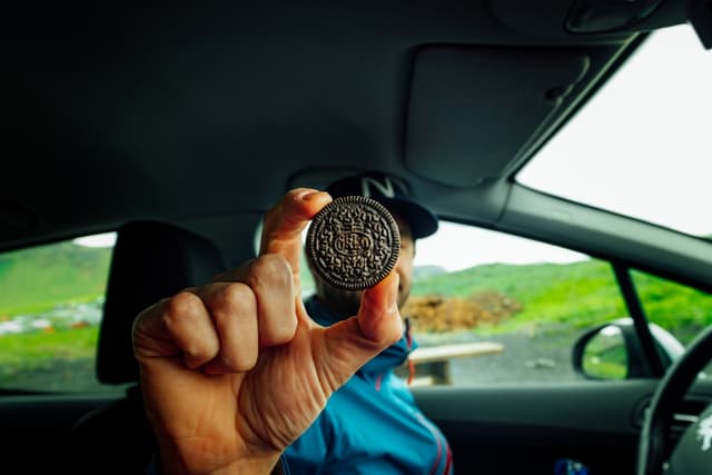 Road Trip Essentials