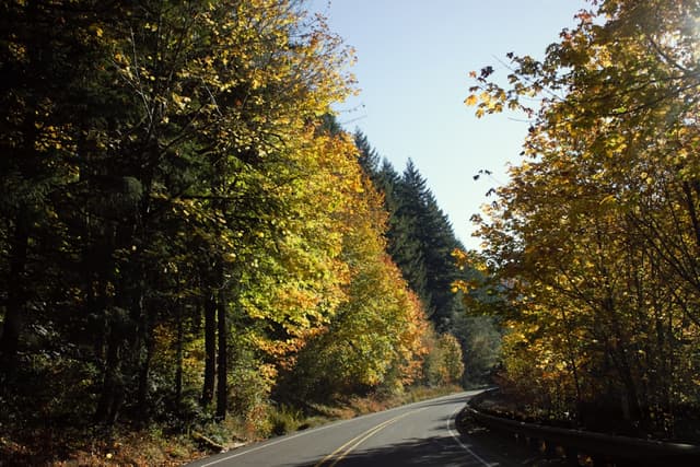 Top Fall Foliage Routes