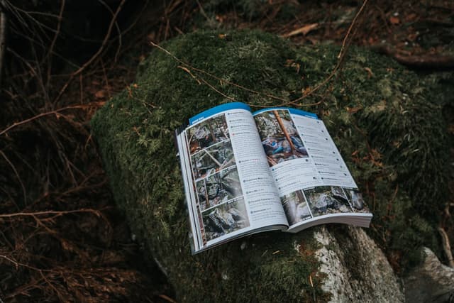 Trail Journal Printable